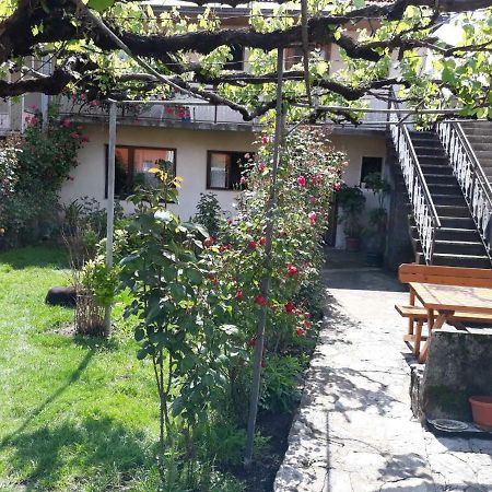 Apartment Dejan Cetinje Buitenkant foto