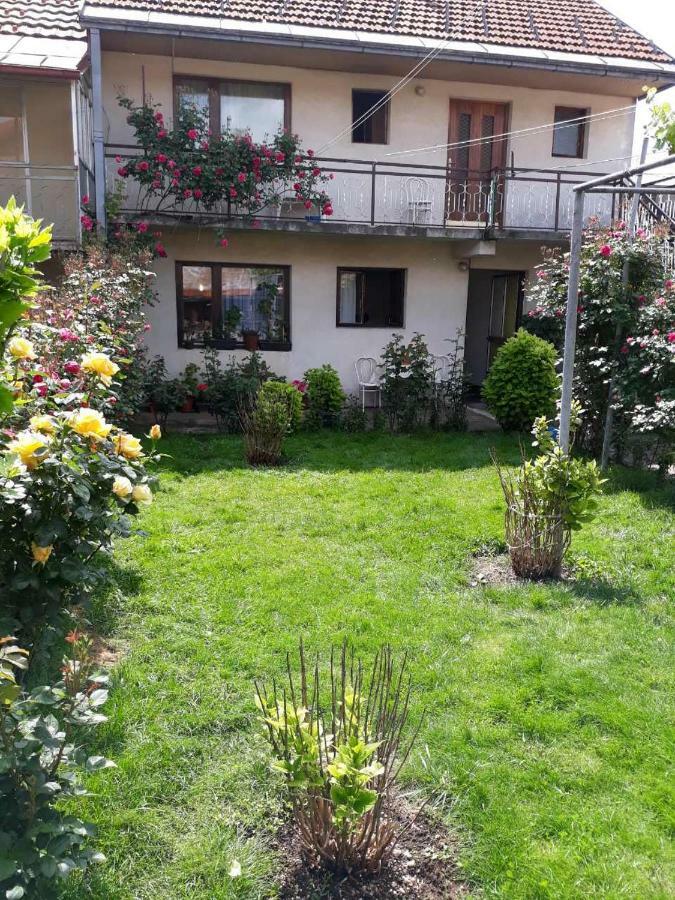 Apartment Dejan Cetinje Buitenkant foto
